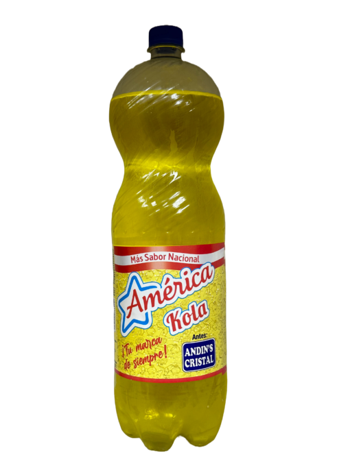 América Kola 2L